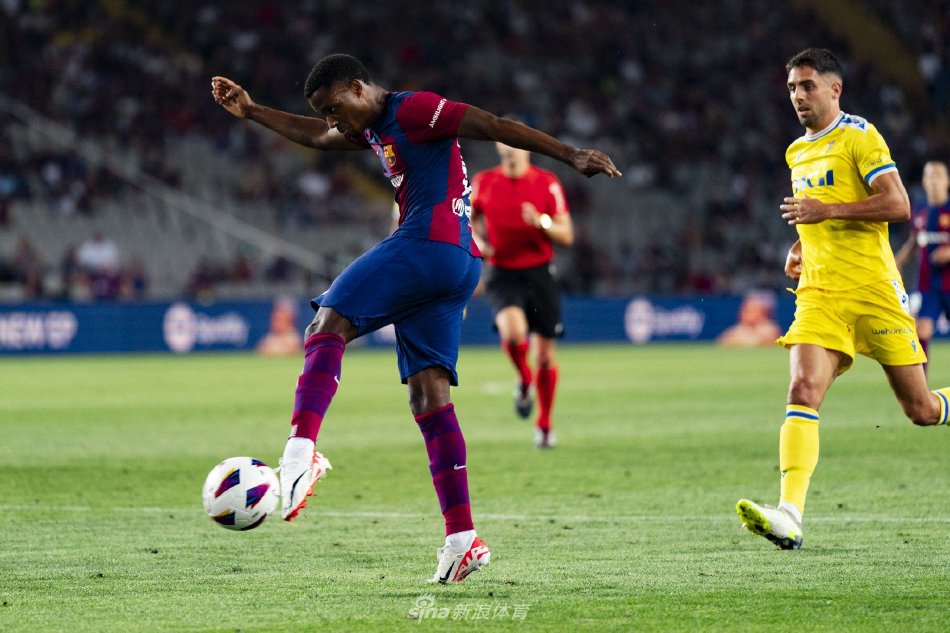 他们往往能 他们往往能